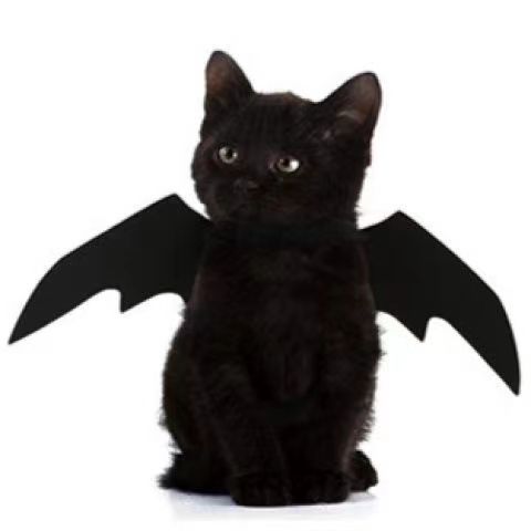 Pet Halloween Bat Wings Costume