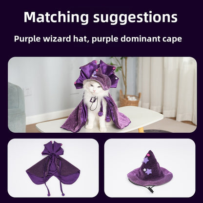 Pet Halloween Cloak with Magic Hat