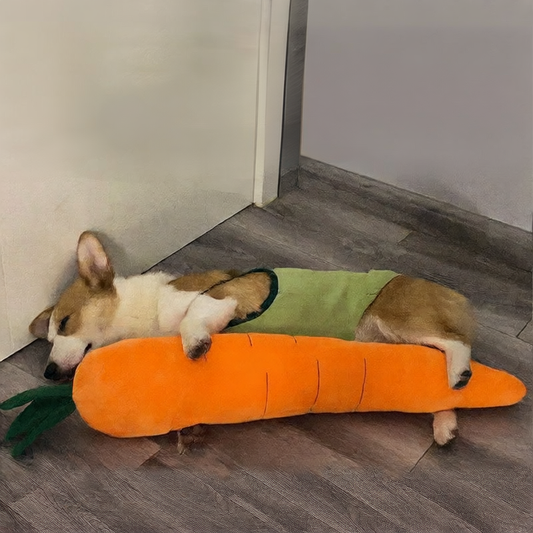 Carrot dog toy plush